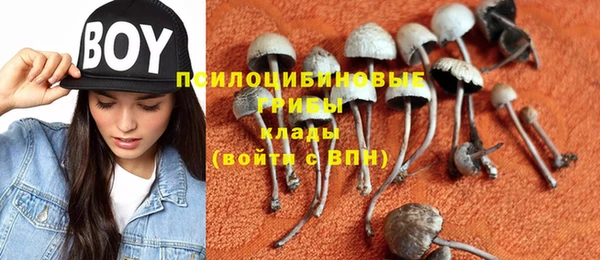 ПСИЛОЦИБИНОВЫЕ ГРИБЫ Абинск