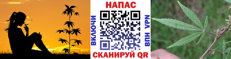 гидра вход  как найти наркотики  Рославль  Каннабис VHQ 